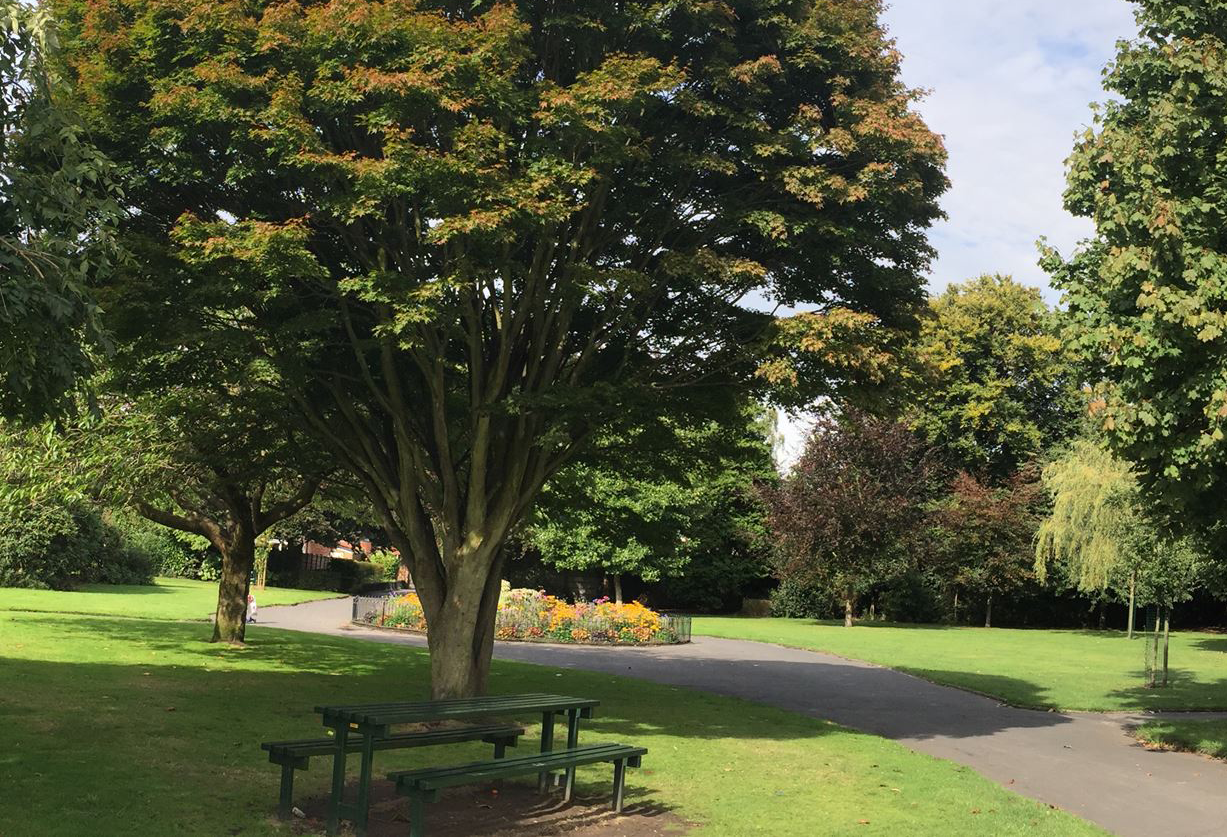 A peaceful park with a green lawn, a bench, and several trees.